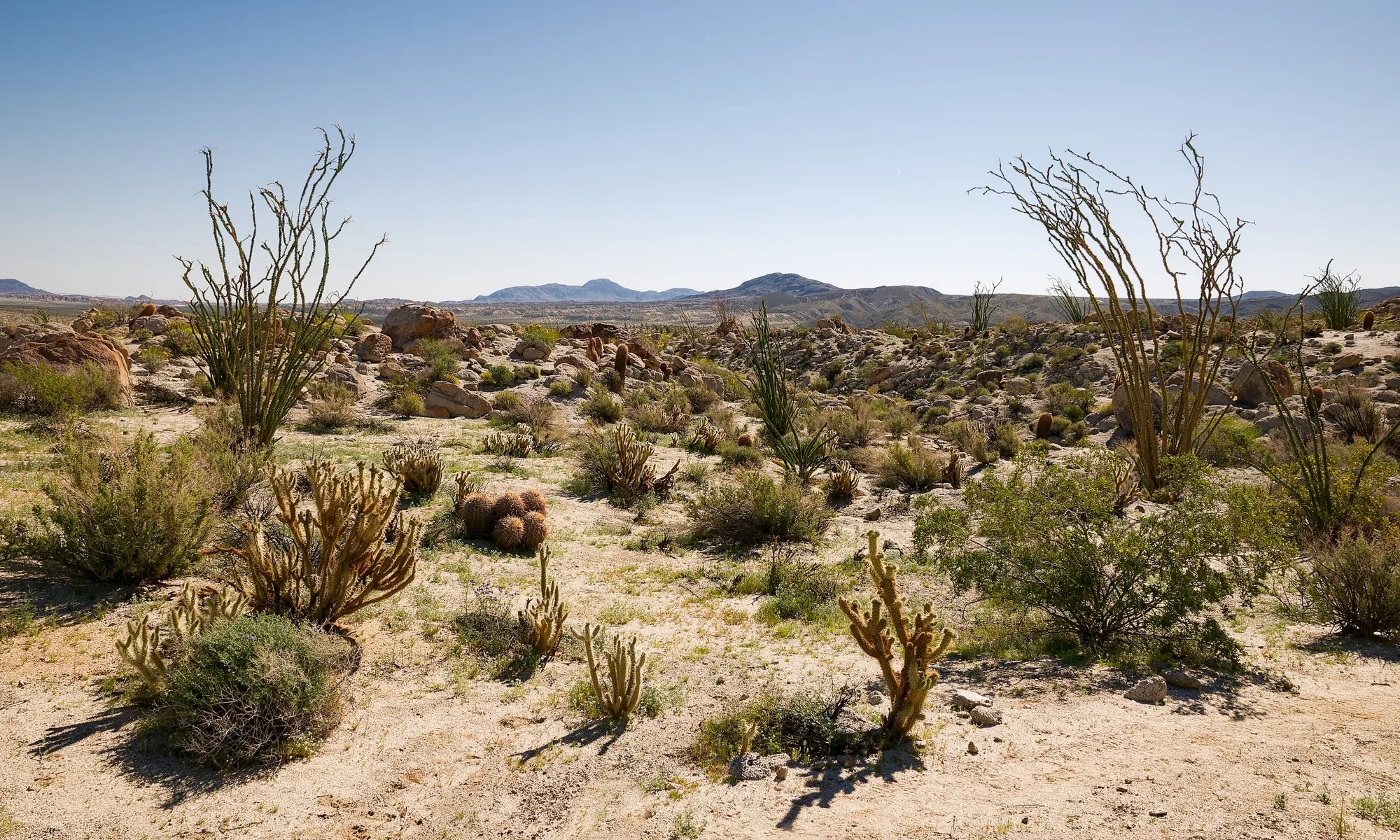 Anza Borrego Desert State Park
