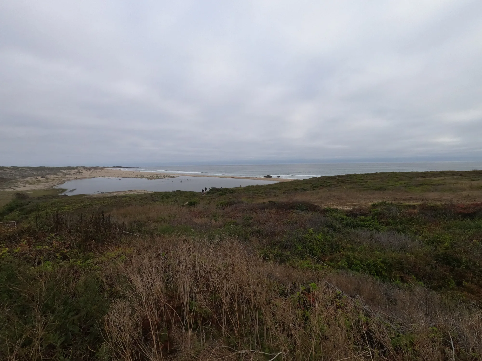 California Dreaming